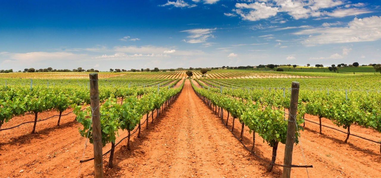 西班牙酒粉必知 十大經典葡萄酒產區